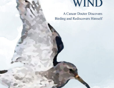 Feathers In the Wind